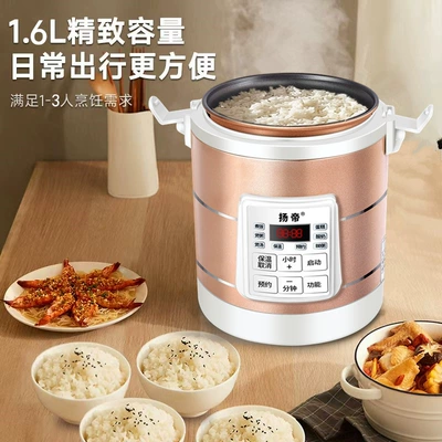Cooker 12V/24V for Cars, Digər kiçik elektrik cihazlar