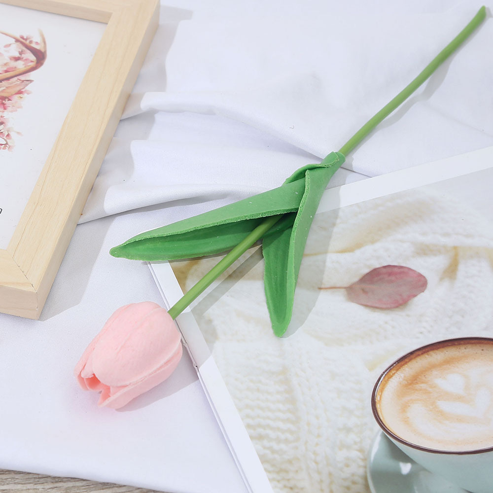 진정한 사랑의 팬