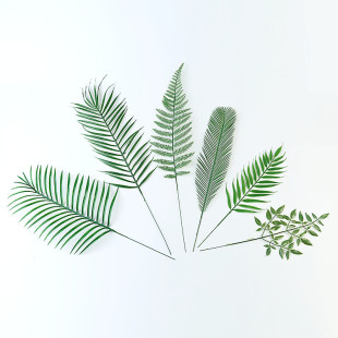 �羳������~�F���~ɢβ����~ѩ��֦�~����ֲ�� �b��Ĕz����