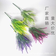 ޹�²� 5�^�������Gֲ�b����ϻ����滨������ֲ�����Ի����l
