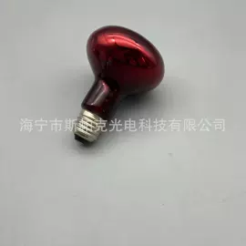 支架;紫外线灯;杀菌灯管