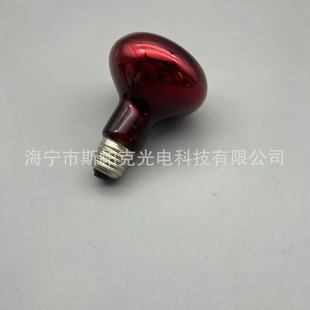 R80 pet heating bulb infrared heating lamp climbing pet warm reflective bubble 60W220V this material red bulb