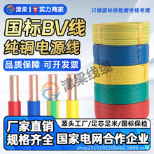 阻燃BV家装线4/6/10平方电线国标铜芯电机电力电缆插座开关电源线