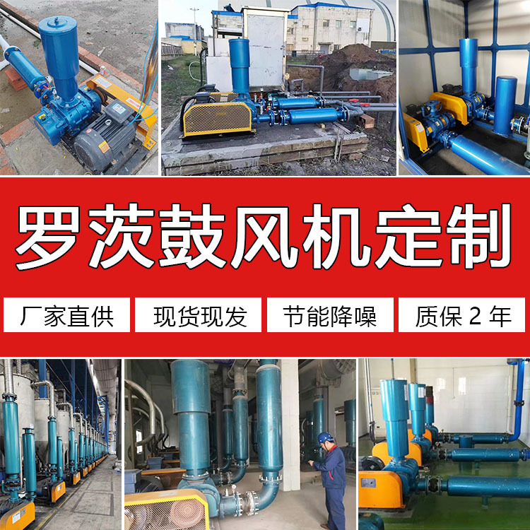 山东罗茨鼓风机150双油箱 负压真空上料22KW污水曝气池三叶鼓风机