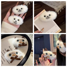 �������С����������ë�q�l�A�����_؈2025�¿�Ȥζ�ﶬ�ɐۄ���