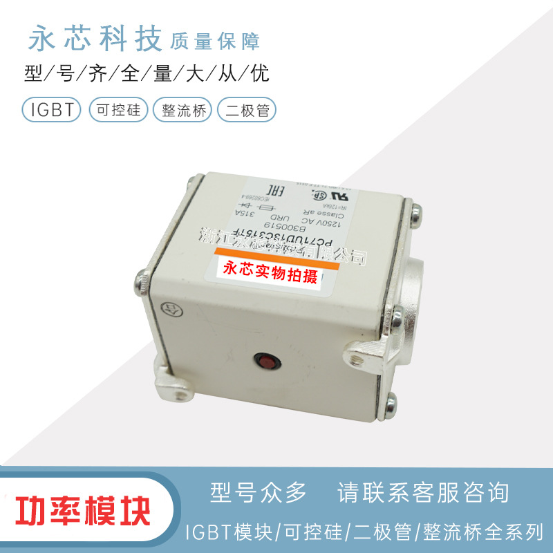 全新PC71GB69V400TF	W301319快速双连体熔断器原装现货供应