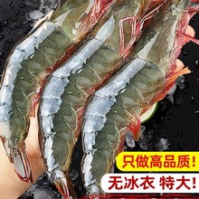 �����Ľ��b���u������r�r��������r�ك����r���rˮ�a���r���r��