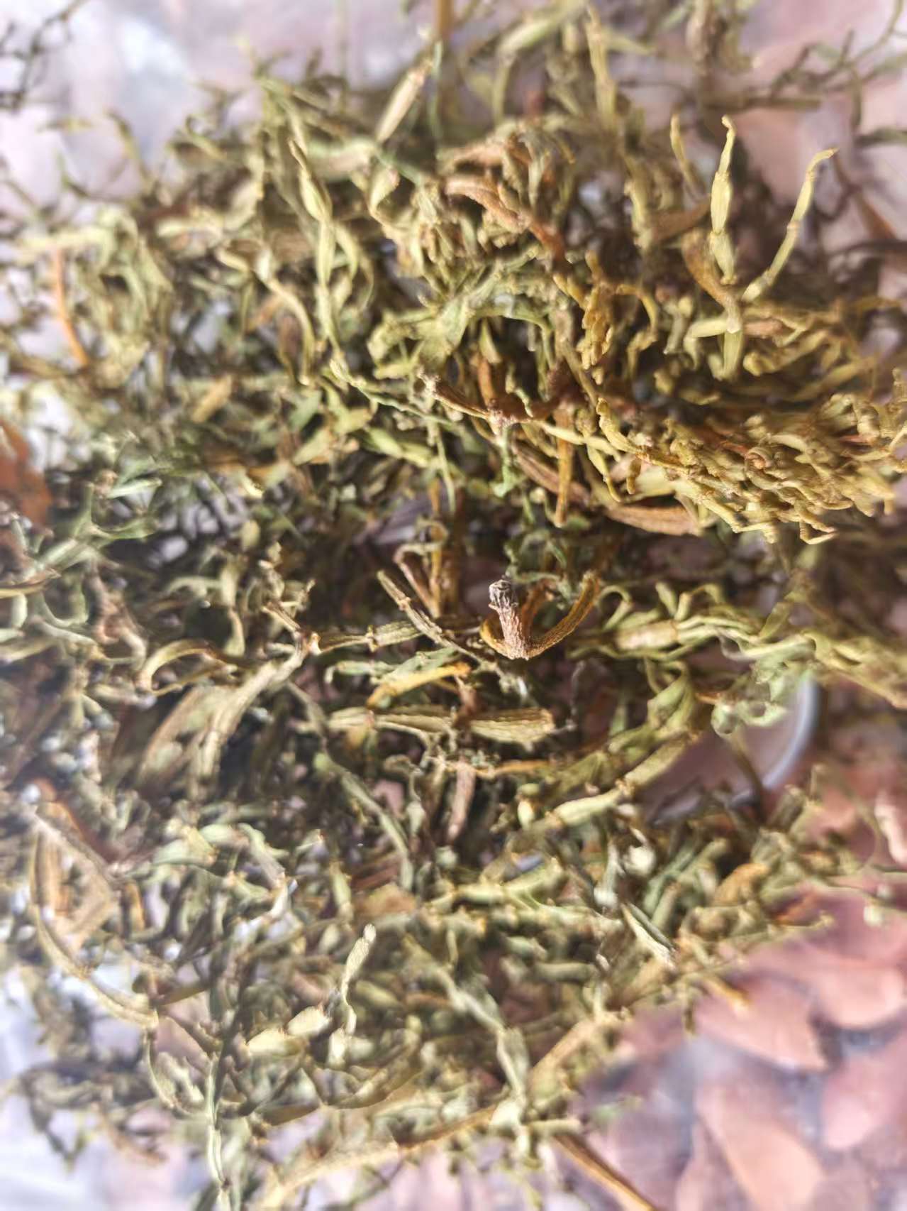 Pang Xie Jiao (Viscum articulatum) — Wild Yunnan Ancient-Tree Herbal Tea Twig, 100g in use
