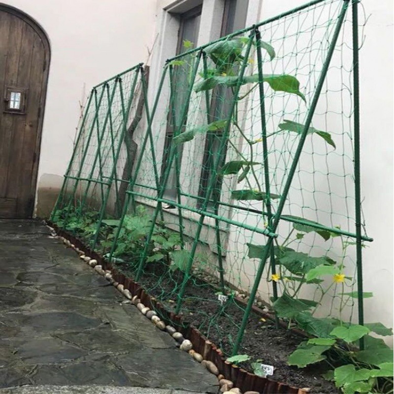 爬藤网植物园艺百香果网丝瓜苦瓜吊瓜葡萄瓜蒌攀爬搭架亚马逊跨境|ms