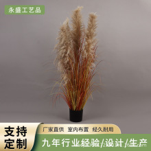 ����ֲ���JȔ��Ȕ��Ȼ�Gֲ�����쾰��c�����Ƶ�ٻ����@�b�