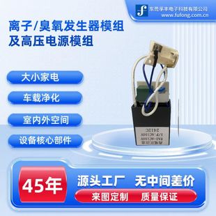 Ac.Micro Ozone Generator Ac110V-240V Air Purification Accessories Module Source Factory Direct Sales