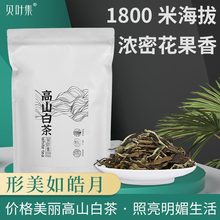 һ���t���ɽ�ײ����l����¹��ؐ�~�����~���ݲ�ɢ�b