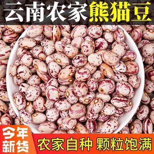 ��؈��ȸ������؛�r���ԮaС��ܿ���׶����s�Z�t����ϴ�׶�