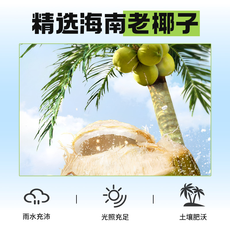 Coconut milk dessert bird's nest fish maw companion small package 12g edible condensed milk high concentration coconut milk wholesale