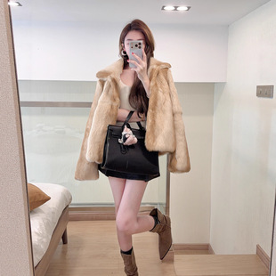 ������2025���¿Ⱦ�й�����ëƤëһ�w���p��I�̿�Ƥ������