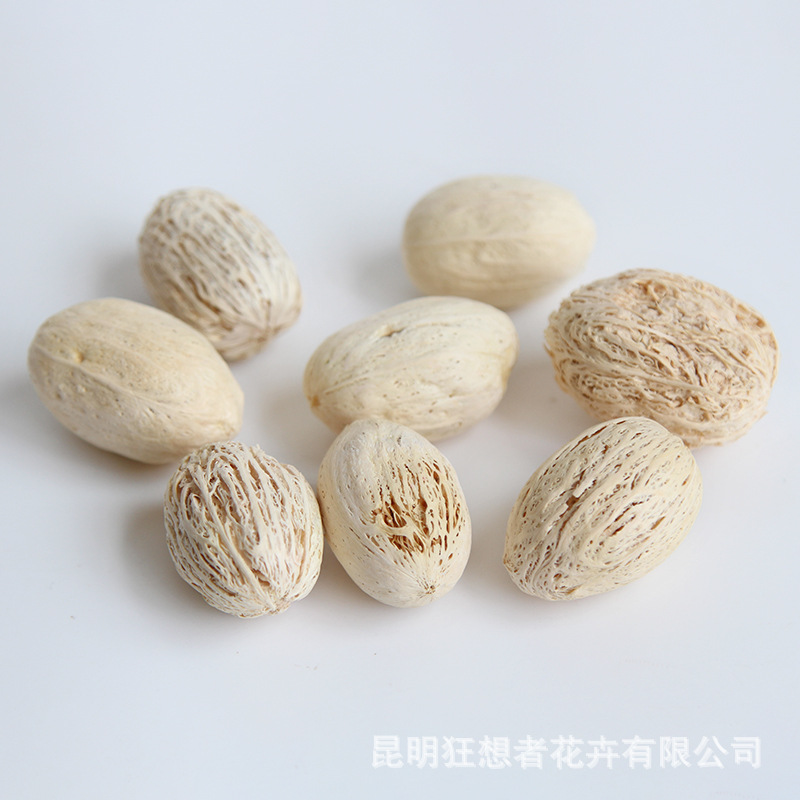Xoài gỗ trắng (một túi 20g, khoảng 4-5 chiếc)
