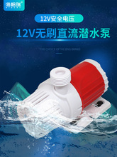 �����~�׼�ɽ�ßoˢֱ��12V΢��С��ˮ��̫�����늳��~��Ȫ��ˮ