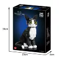 662501 tuxedo cat