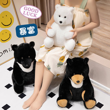 ɐ۷湷żСѹնYëqߴȹС