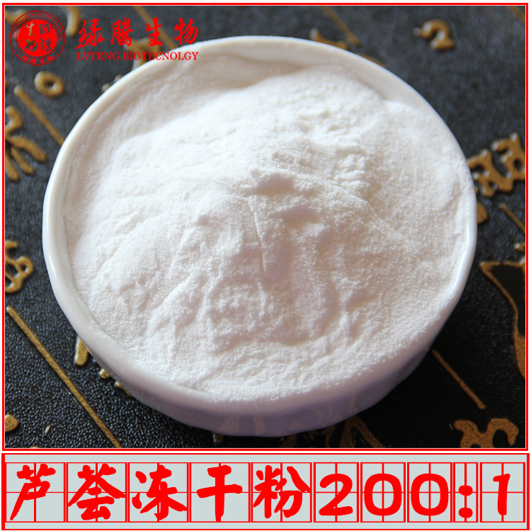 芦荟冻干粉200:1 绿腾生物 库拉索芦荟凝胶冻干粉 量大从优