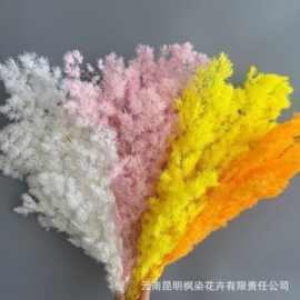 跨境蓬莱松永生花不掉针干花520插花DIY花束配材生日婚庆情人节