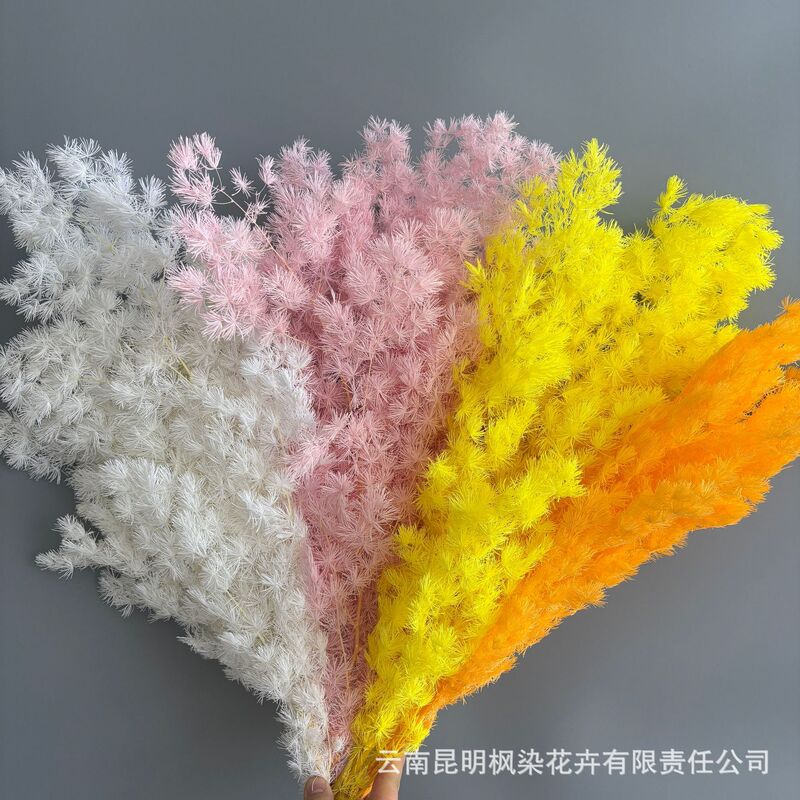 Cross-Border Penglai Pine Eternal Flowers That Do Not Wilt, Dried Flowers 520 DIY Flower Arrangement Bouquet Materials for Birthdays, Weddings, and Valentine's Day Cross-Border Penglai Pine Eternal Flowers That Do Not Wilt, Dried Flowers 520 DIY Flower Arrangement Bouquet Materials for Birthdays, Weddings, and Valentine's Day