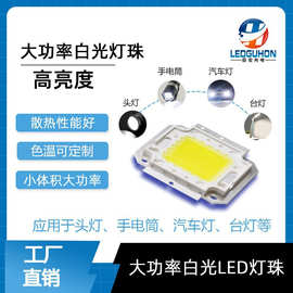 批发白光集成光源20-100W大功率投光灯照明灯高亮白光LED灯珠