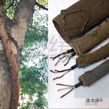 ���ϸɘ�֦늾����@��ľ���ٗl�bܷ�Ƥ������Ę��ٴ���̫��