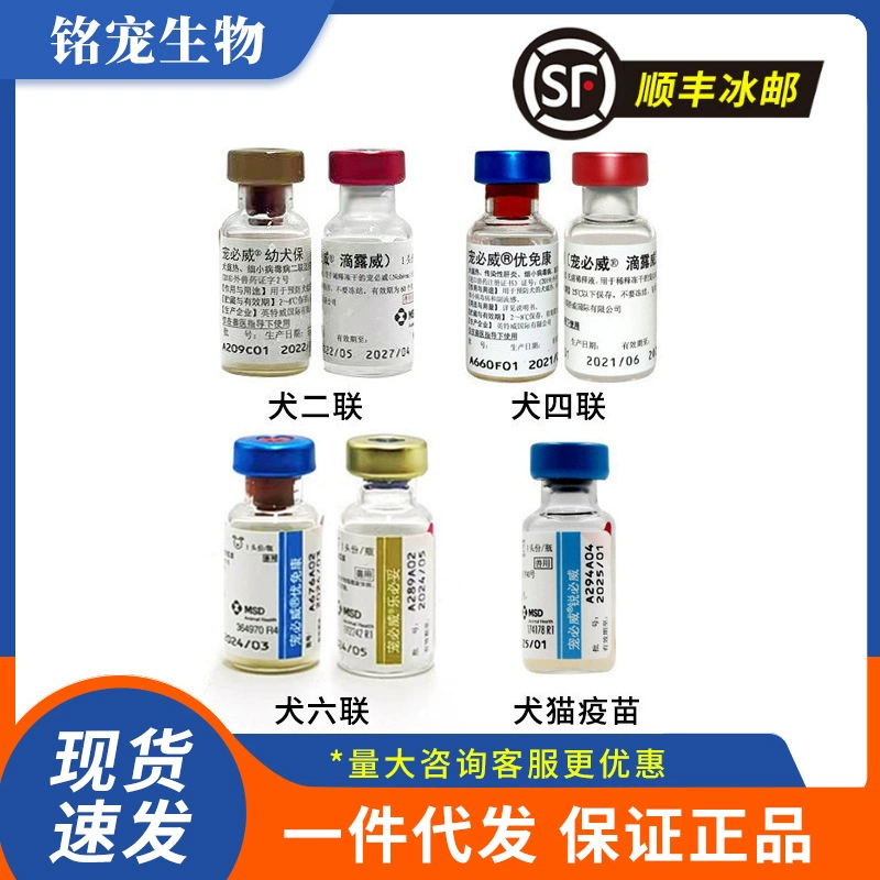 Экспресс Ice Mail Нидерланды INTEI Вакцина против бешенства Четырехместный Домашнее животное