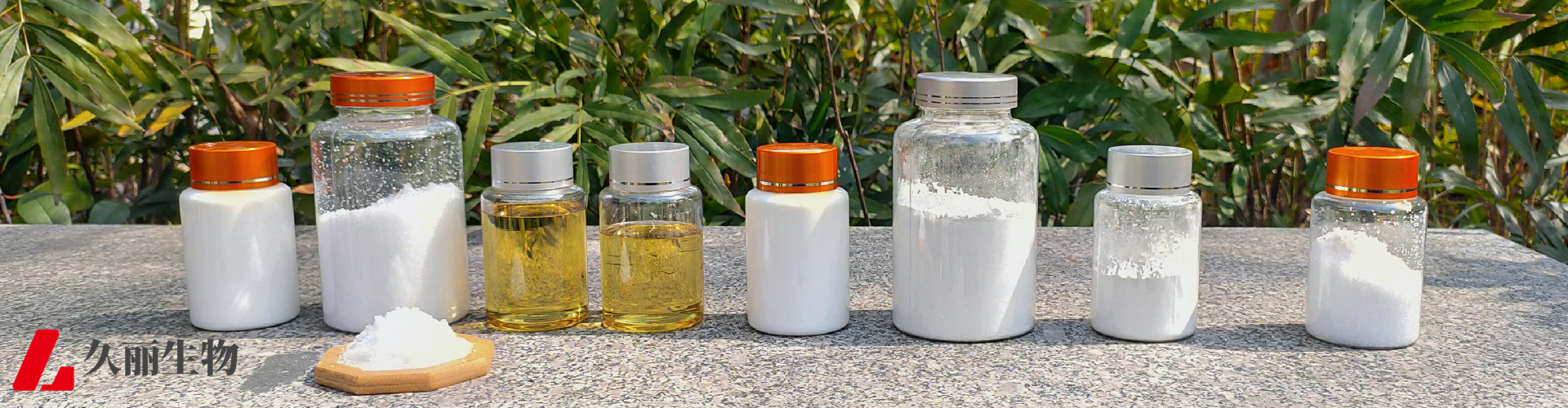 IMG20220305111933_首页横图