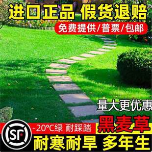 ��ƺ�����ݲ����ļ������ͺ�ͥԺ��������Ƥ�ݷN�o�¾G���ݷN��