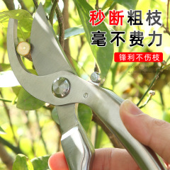 全鋼修枝摘果剪刀彎頭修枝尖頭摘果園藝套裝自動回彈防滑樹枝剪刀