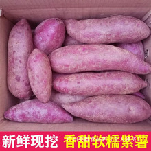 紫薯新鲜红薯番薯农家沙地紫罗兰蜜薯10斤个珍珠板栗地瓜蔬菜