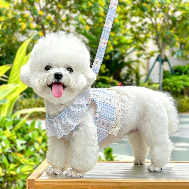반려견 고양이 레이스 자카드 가슴 멜빵 여름 통기 옷 야외용품 끈 끈 인형 고양이