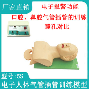 Advanced Human Tracheal Intubation Training Model with Digital Tooth Alarm Adult First Aid Training Teaching Mold