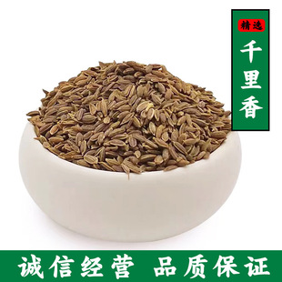 ǧ�����w�� ���������ϰ������P�}�ѻ���{ζ���u�����������{��