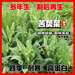 ���{�˷N�ӿ������u���Z�~���Bֳ�ļ������׷Nֲȫ���m�NҰ��