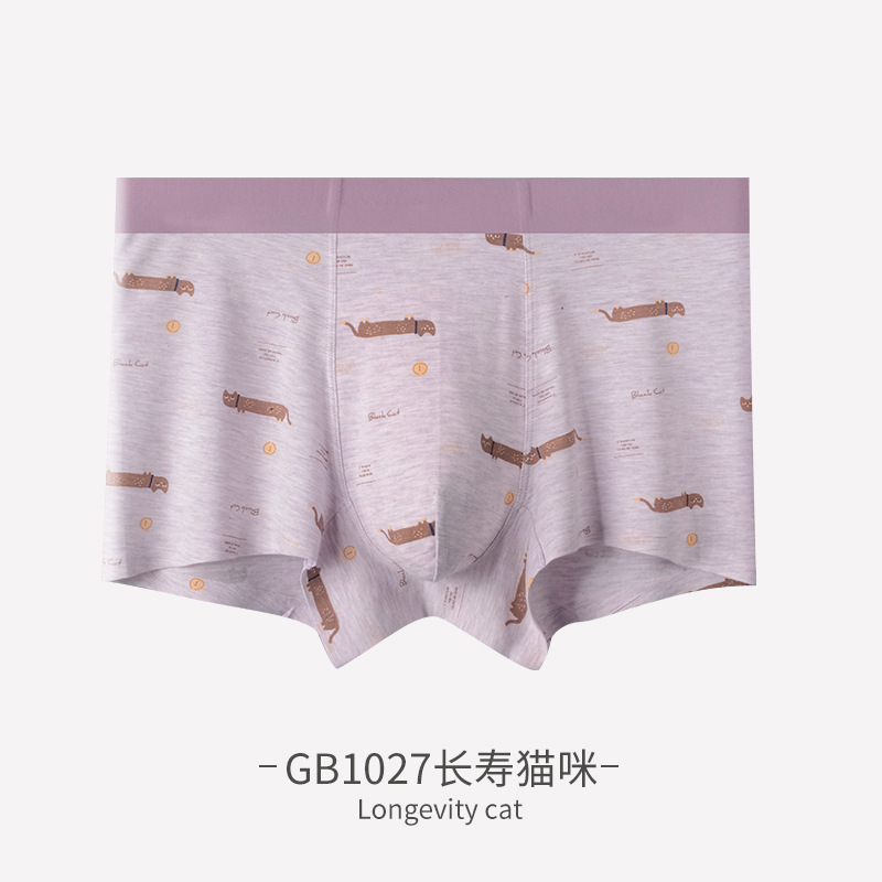 GB1027长寿猫咪