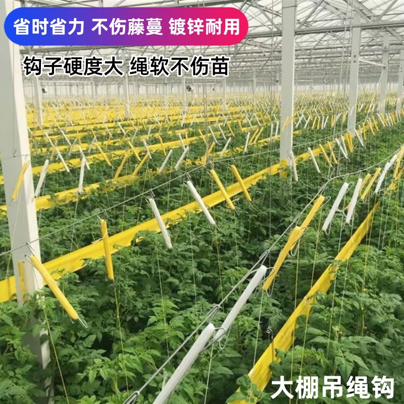 吊绳爬藤吊秧吊蔬菜西瓜西红柿大棚钩M黄瓜蔓木甜种番茄挂钩