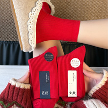 ������H�Y��ϲ�m��Ů��t�m�ӱ������ﶬȫ�޼tɫ�m����Ͳ�m�^��