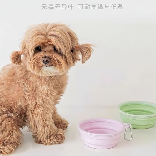 Pet Bowl Pet Food Bowl Small Cat Dog Bowl Strawberry Pet Collapsible Bowl Wholesale Manufacturer Pet Water Bowl Non-Slip