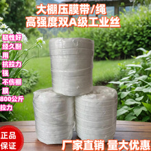 大棚压膜带压膜绳压膜线高强度涤纶丝白色抗老化温室配件专用加厚