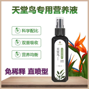 The Manufacturer Supplies Eight Types of Special Nutrient Solutions for Old Bird of Paradise Plants, Specifically for Severe Yellowing of Leaves, Leaf Curling, and Root Rot, No Dilution Required