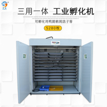 厂家直供智能5280枚大型孵化 工业机双温双控家禽养殖设备 孵化箱
