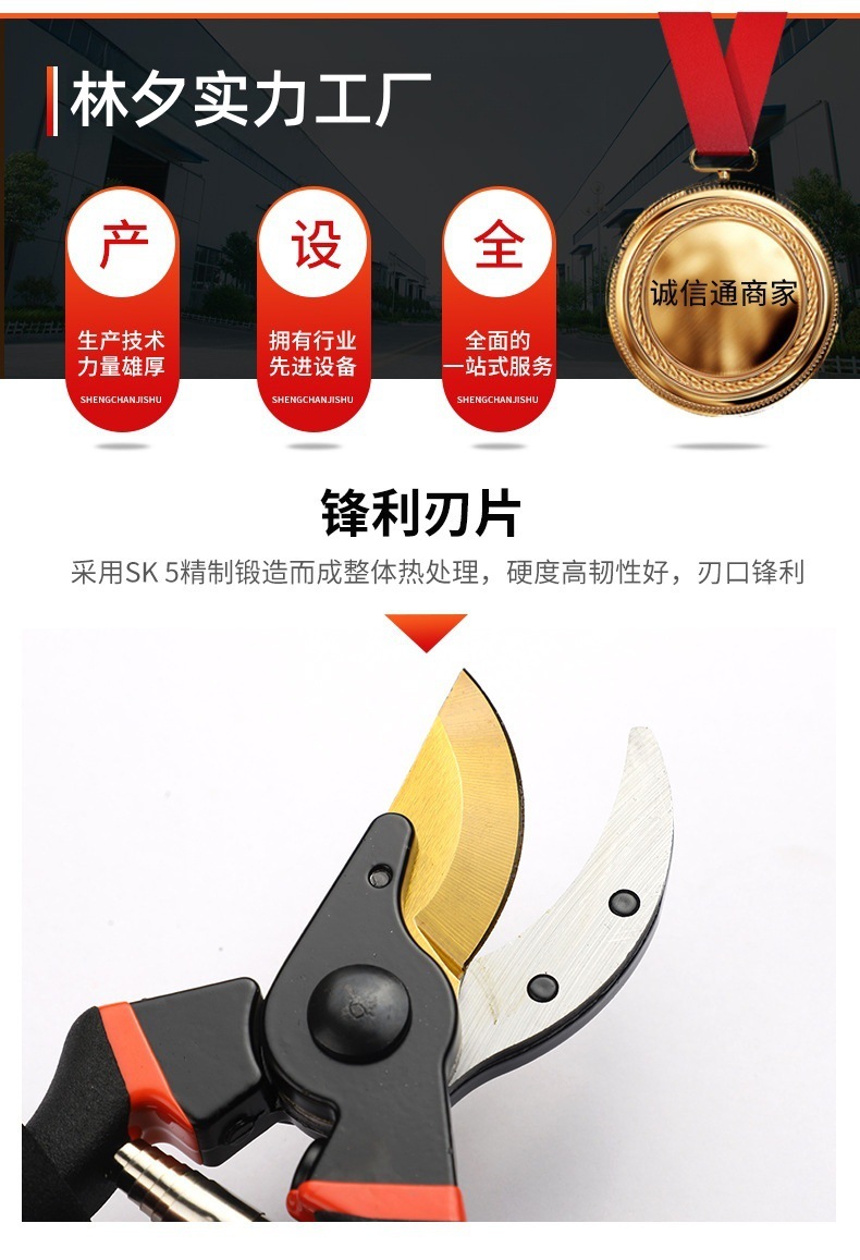 O1CN01sZuNdg240HQNBpgr0_!!2215210567328-0-cib.jpg?__r__=1746627714490