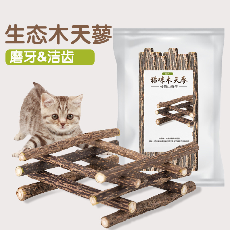 猫の歯磨きの棒猫のミントの木の天のタデの歯をかじって猫の棒をからかいます。|undefined