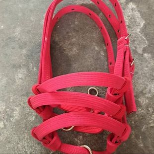 Red Plate with Cow Faucet 500 to 900kg Can Be Used with Circle to Raise Fertilizer and Breeding