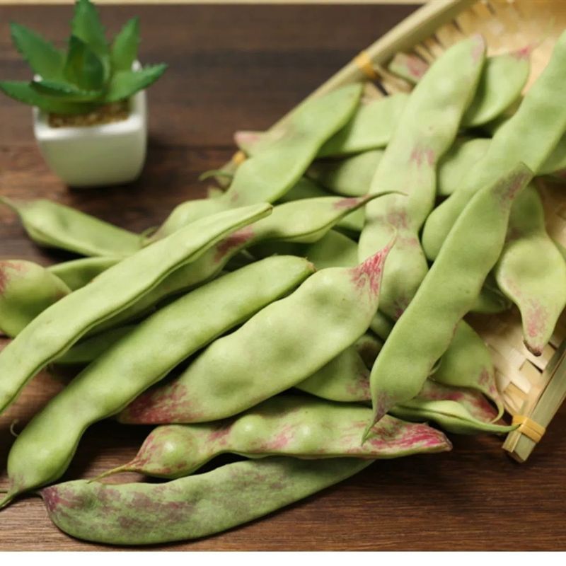 【大甩卖】东北油豆角蔬菜新鲜当季九月紫花油豆角买菜超宽包邮|undefined