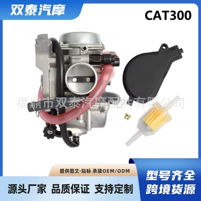 Arctic Cat300 250Dvx 3306-881 3306-245 motosiklet karbüratoru üçün