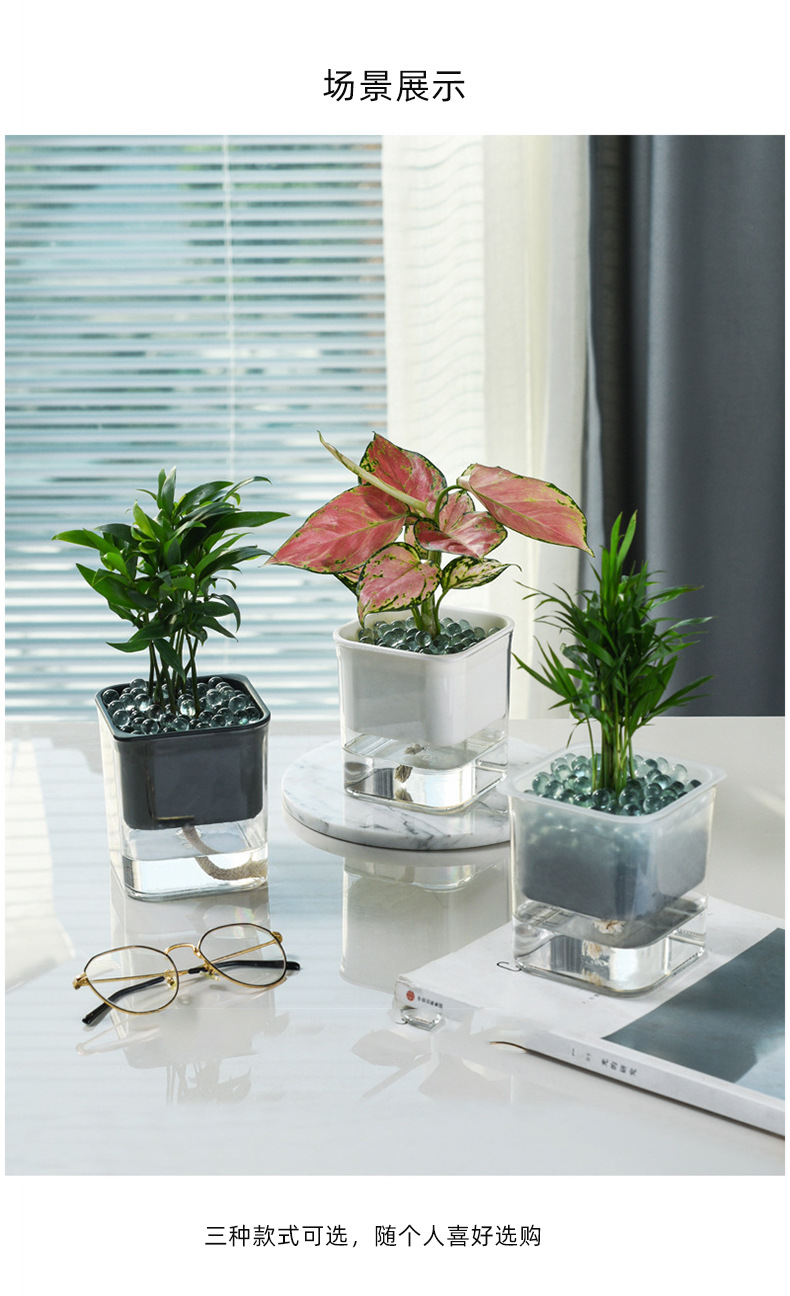 透明可视懒人绿萝自动吸水花盆花瓶方形大号塑料水培绿植养殖盆-
